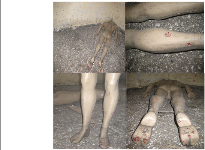 Mannequin 2 Lied Face Down On Left Opposite Corner - Paw (850x501), Png Download