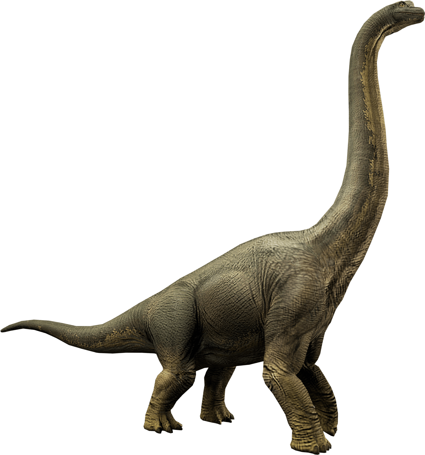 Brachiosaurus Jurassic World Alive Wiki Fandom Powered - Lesothosaurus (2000x2000), Png Download