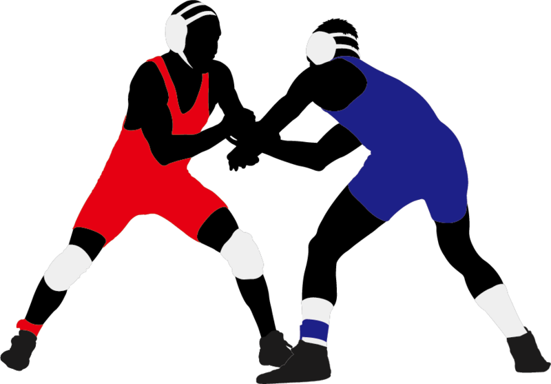 Wrestling Png, Download Png Image With Transparent - Wrestling Vector Png (800x557), Png Download