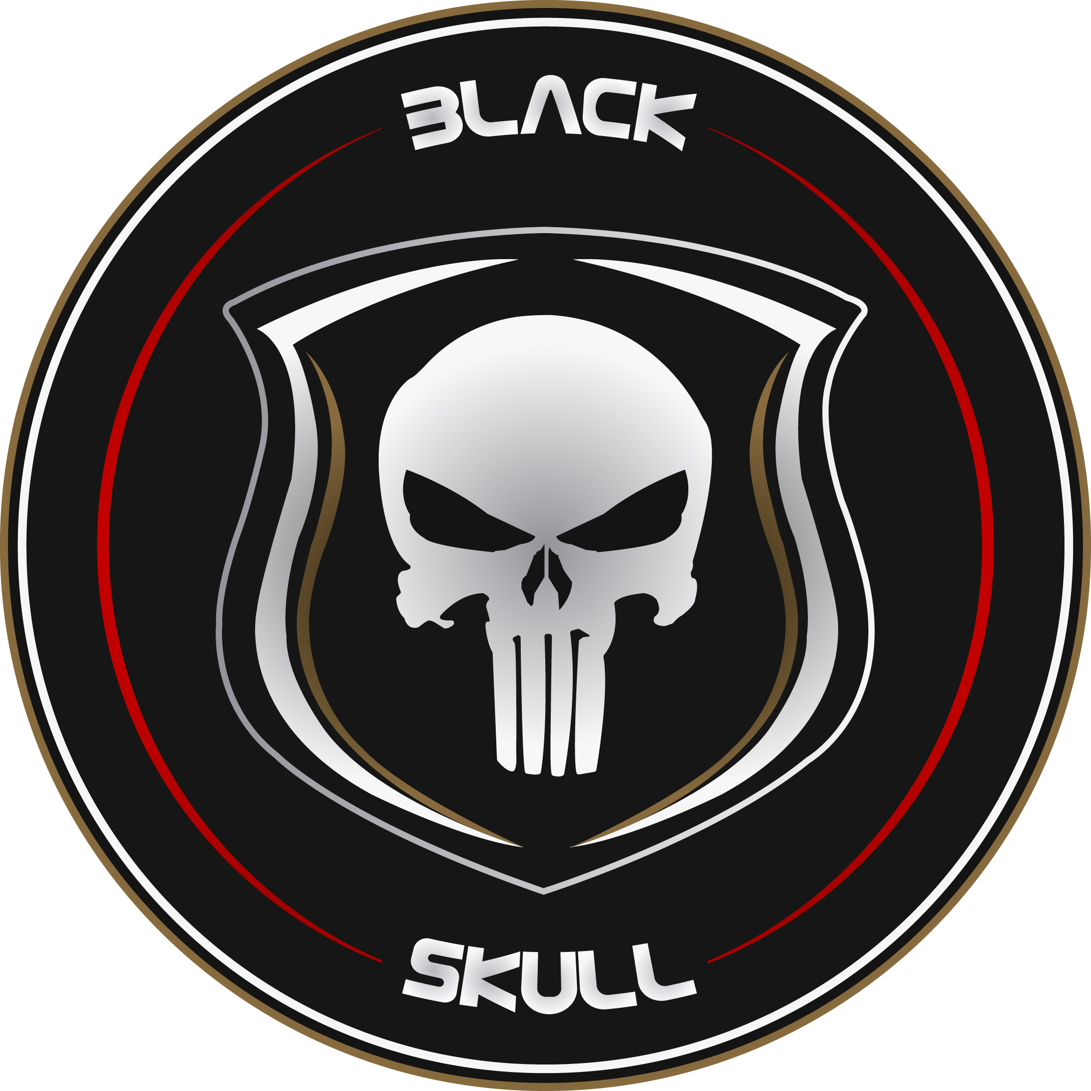 Sc Black Skull - Irish Flag Punisher Skull (2181x2181), Png Download