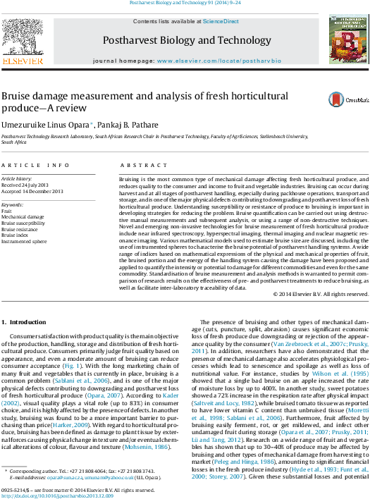 Pdf - Folio Nine From Burchard Of Sion's De Locis Ac Mirabilibus (612x811), Png Download
