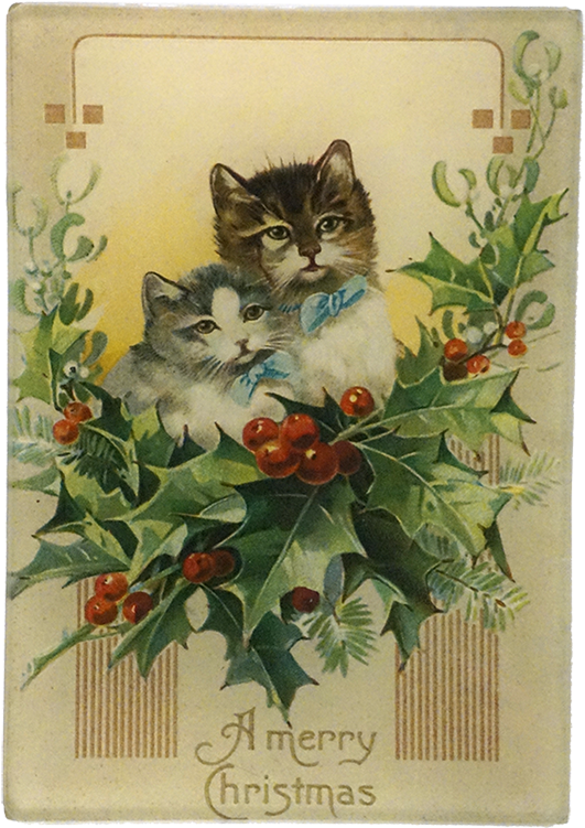 Merry Christmas Kittens (800x800), Png Download