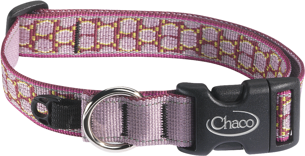 Download Chaco Dog Collars Buckle Full Size PNG Image PNGkit