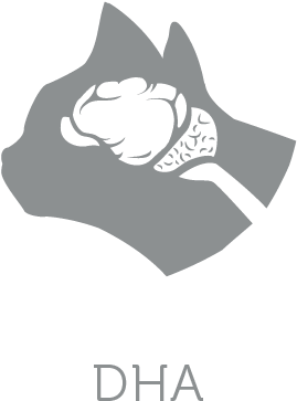 Enriched With Dha Fatty Acids Which Stimulate The Brain - Black Cat (591x591), Png Download