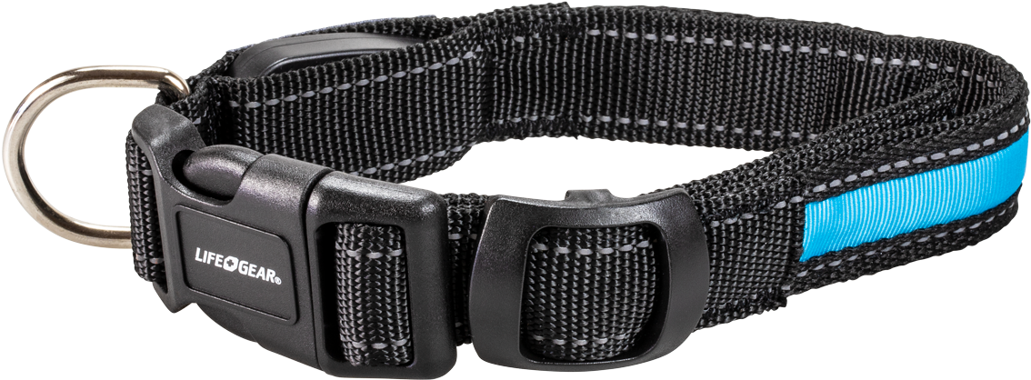 Night Walker Glow Led Usb Rechargeable Pet Collar Small - Strap (1200x1200), Png Download