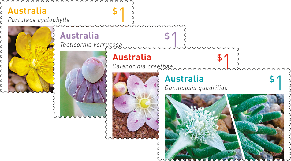 Australian Succulents Set Of Stamps - Australian Stamps 2017 (970x545), Png Download