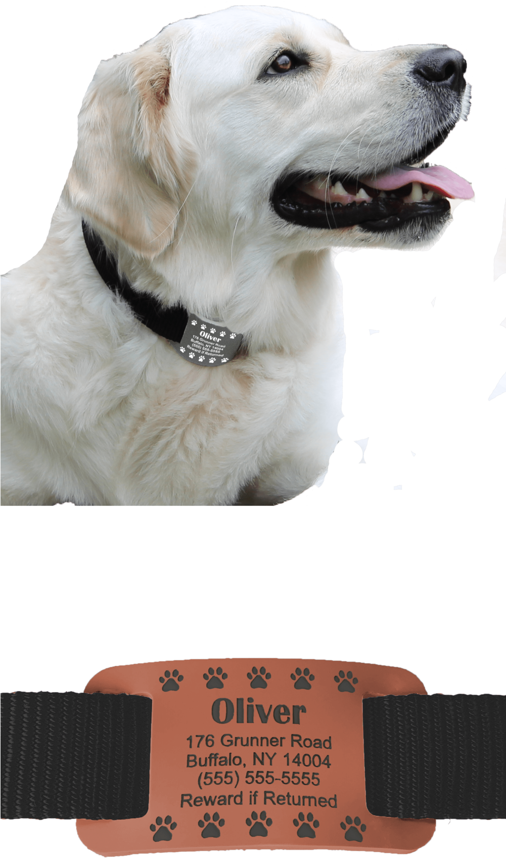 Website Left Side - Labrador Retriever (1000x2000), Png Download