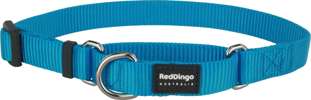 Martingale (1000x323), Png Download