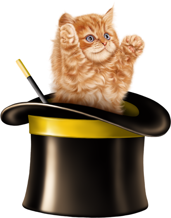 Kitten Cartoon, Kitten Images, Cats And Kittens, Tube, - Cat In Magic Hat (800x800), Png Download