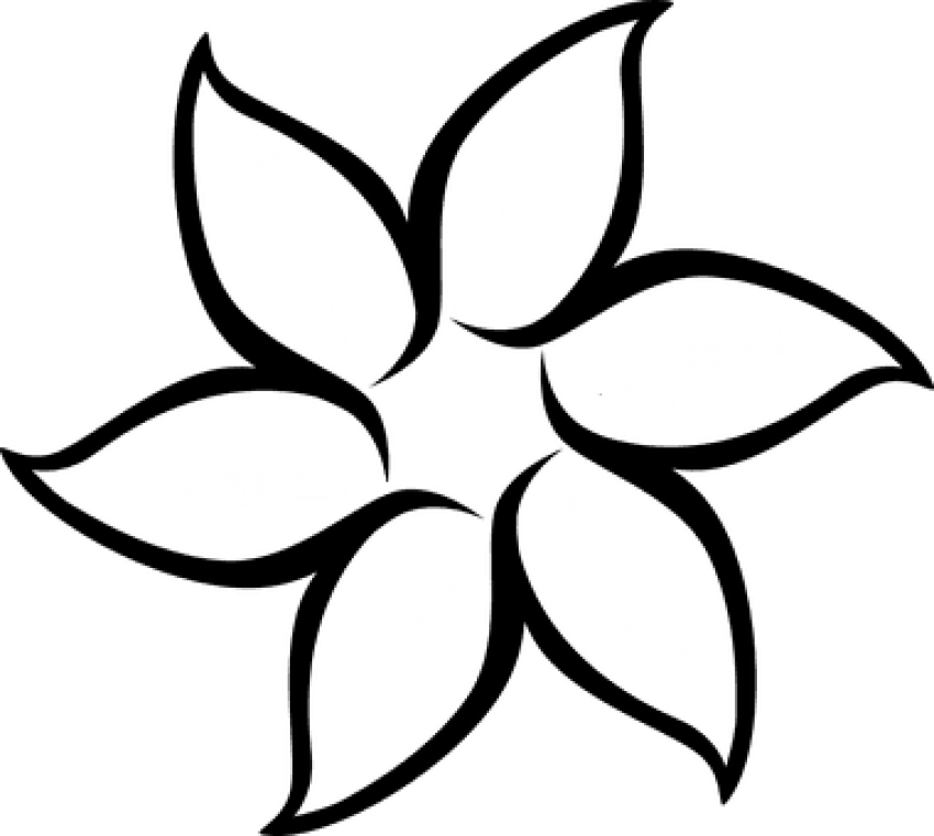 Free Png Floral Flower White Daffodil Daisy Tulip D - Simple Flower Outline (850x761), Png Download