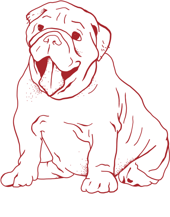 White Dog - Dog Yawns (1000x1000), Png Download