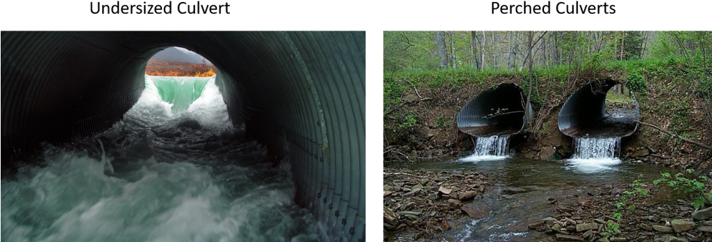 Stream Bank Restoration - Tributary (1024x363), Png Download