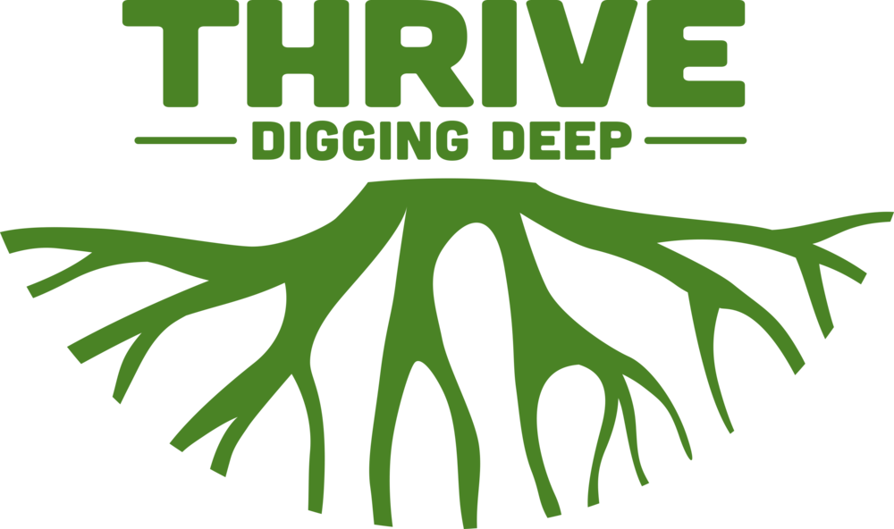 Thrive Logo Rgb 4 - Illustration (1000x592), Png Download