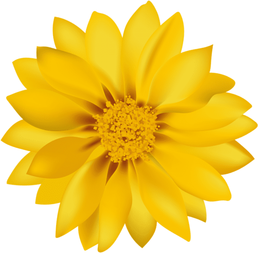 Free Png Yellow Flower Transpa Png Images Background - Flower Png (850x833), Png Download