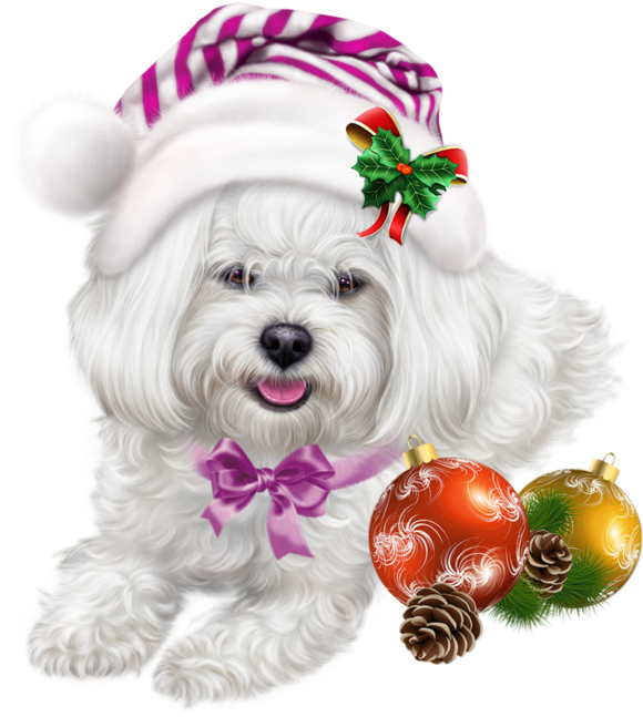 600 X 661 3 - Christmas Puppy Images Clipart (600x661), Png Download