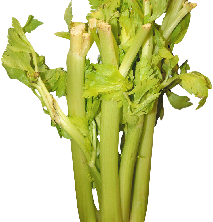 Celery Png Image 1 - Celery (842x768), Png Download