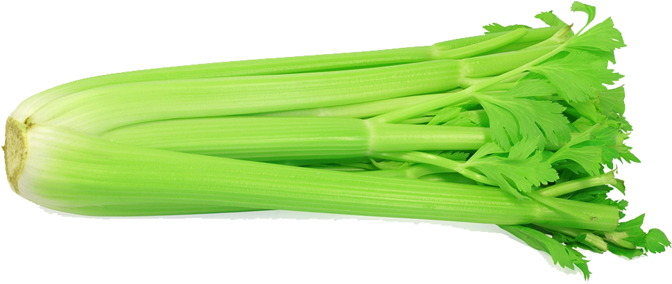 Celery - Celery With White Background (1000x850), Png Download