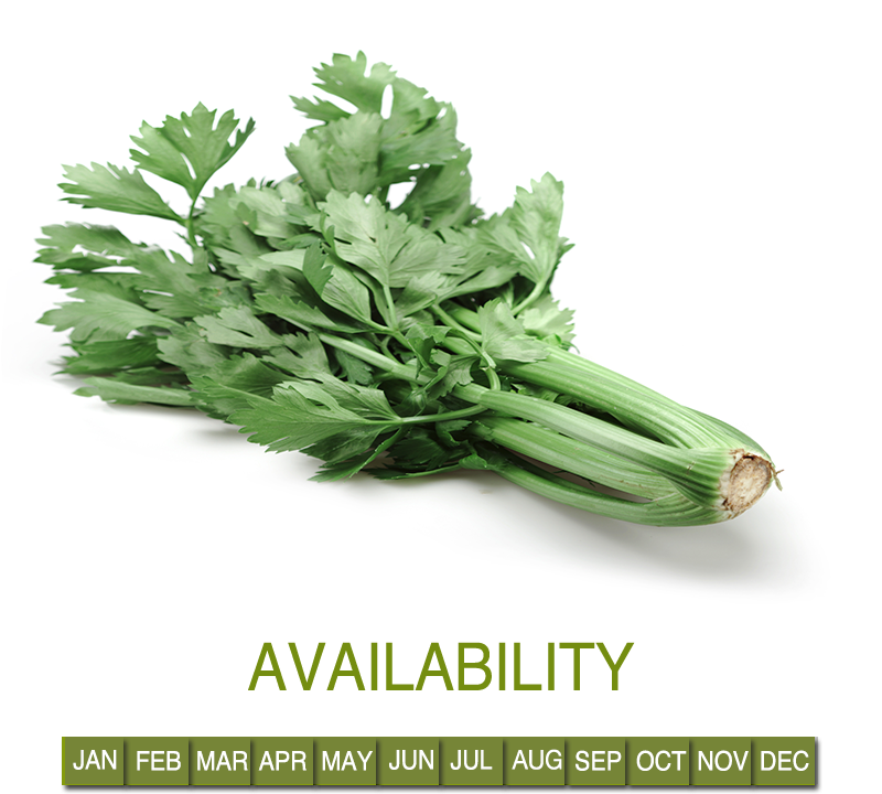Request Information - Parsley (800x820), Png Download