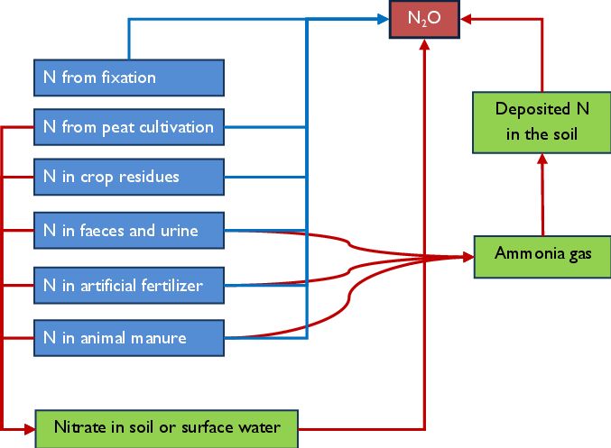 2 Schematic Overview Of Direct And Indirect (red Arrows) - Diagram (677x497), Png Download