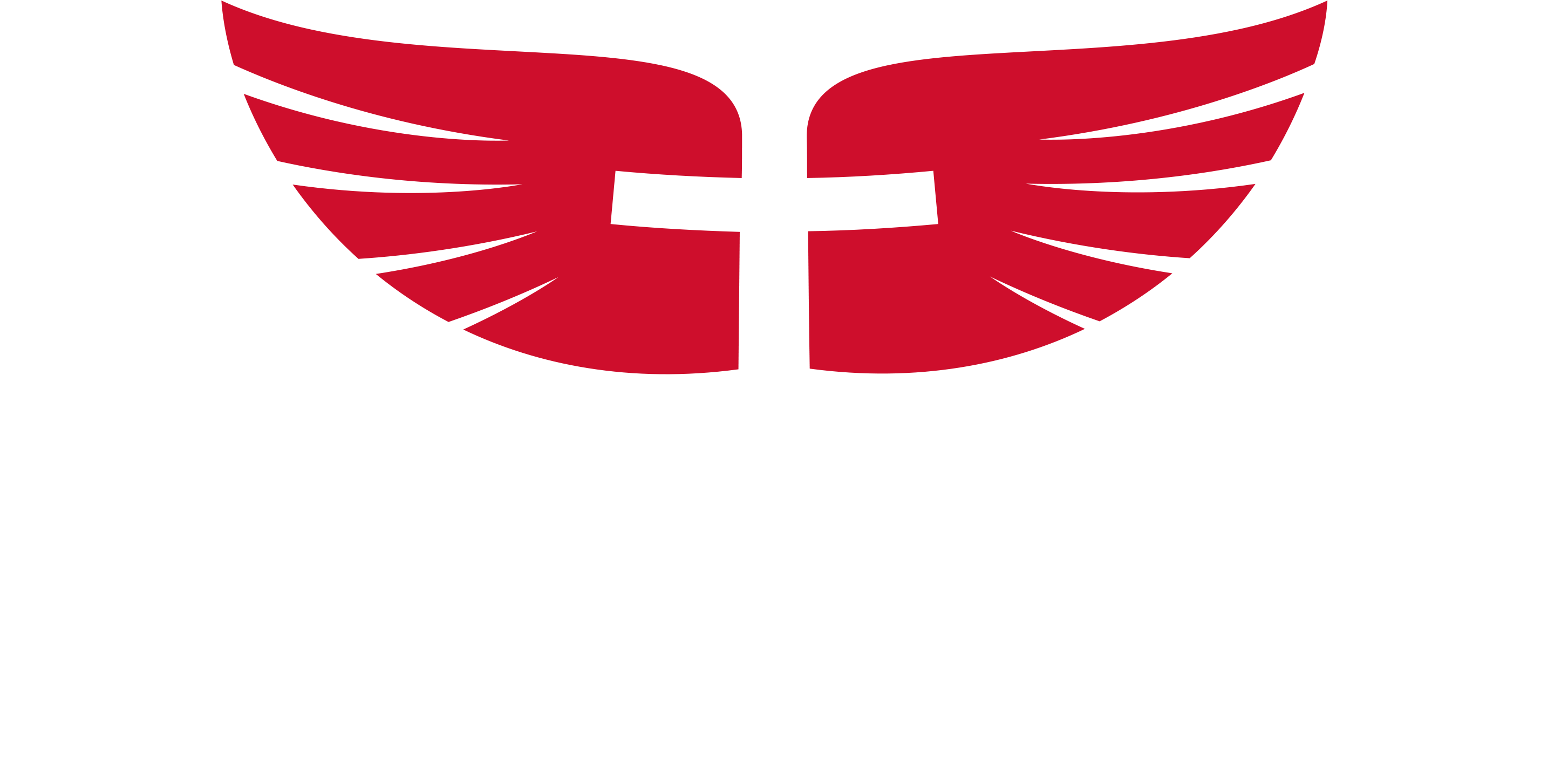 Victory Orthotics & Prosthetics - Gifted Music Group (3000x1500), Png Download