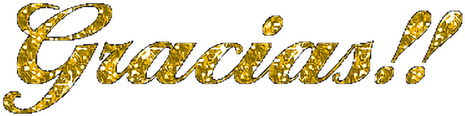 Gracias Sticker - Gracias Gif Sin Fondo (1024x322), Png Download