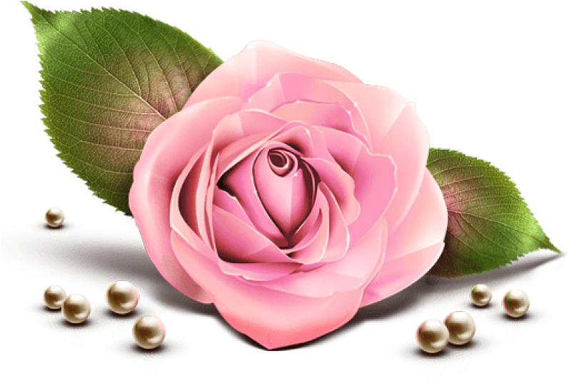 Free Png Download Pink Rose Decor Transparent Clipart - Transparent Rose Pink Png (850x731), Png Download