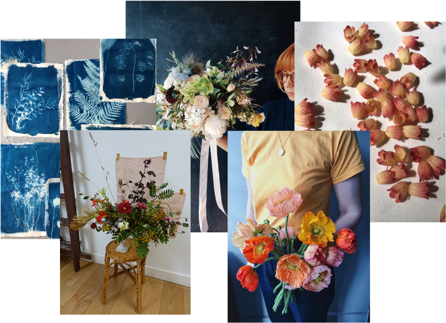 Newsletter Trans Full - Bouquet (958x715), Png Download