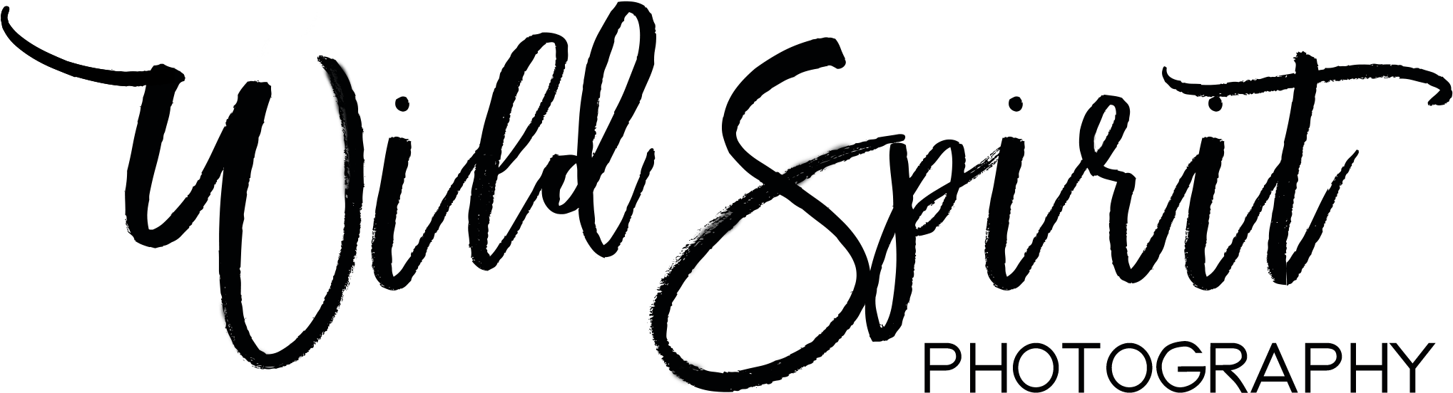 Wild Spirit Wedding - Wedding (2066x790), Png Download