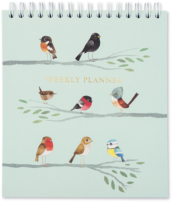Square Weekly Planner - Our Songbirds: A Songbird For Every Week Of The Year (800x800), Png Download
