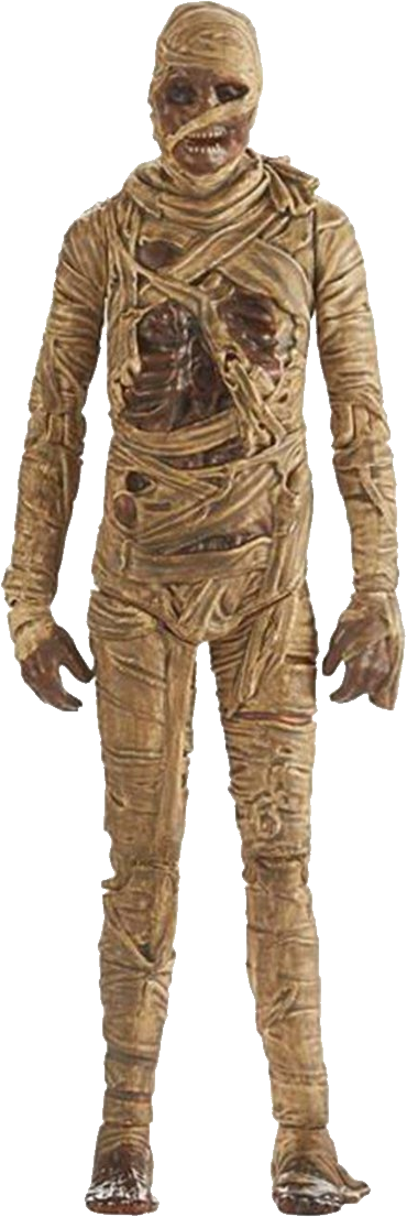 Doctor Who Foretold Figure (370x1105), Png Download