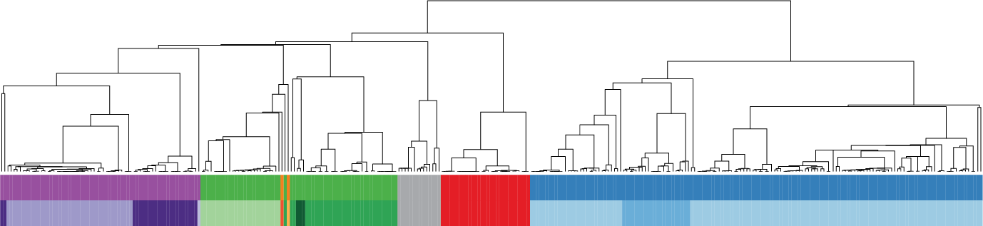 Tree 1378×317 - Diagram (1378x317), Png Download