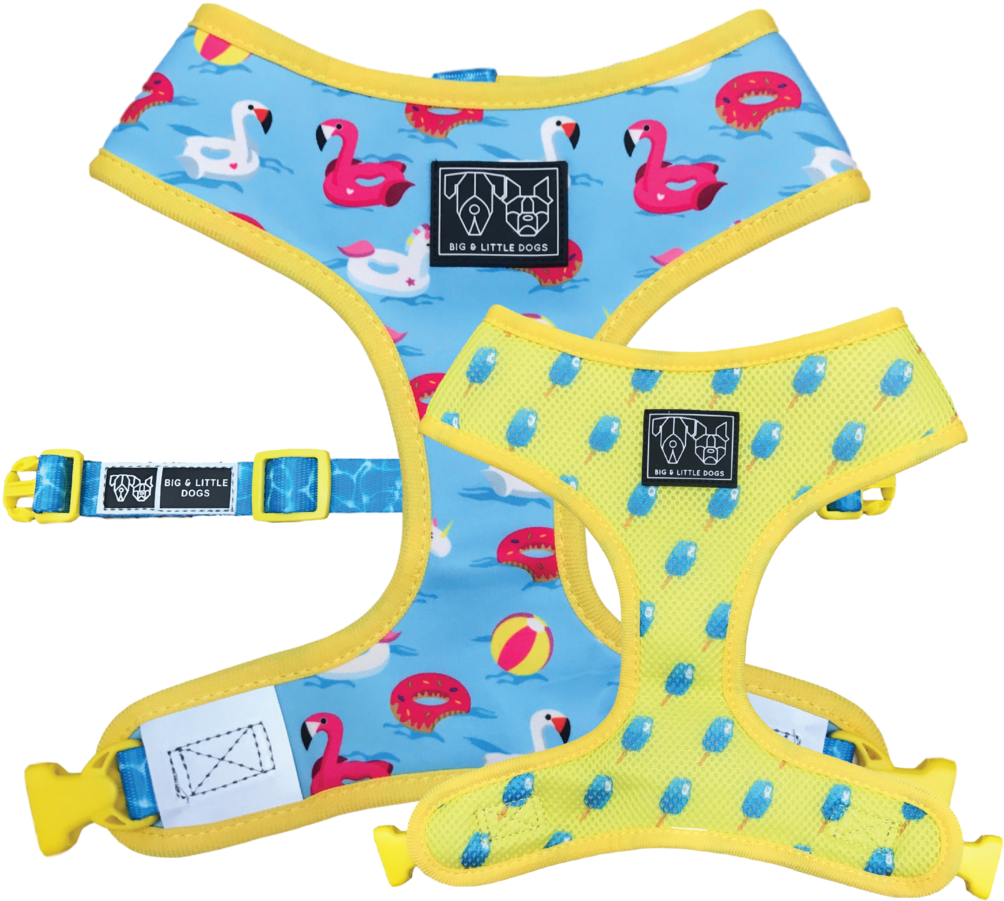 Reversible Dog Harness - Pattern (1024x1024), Png Download