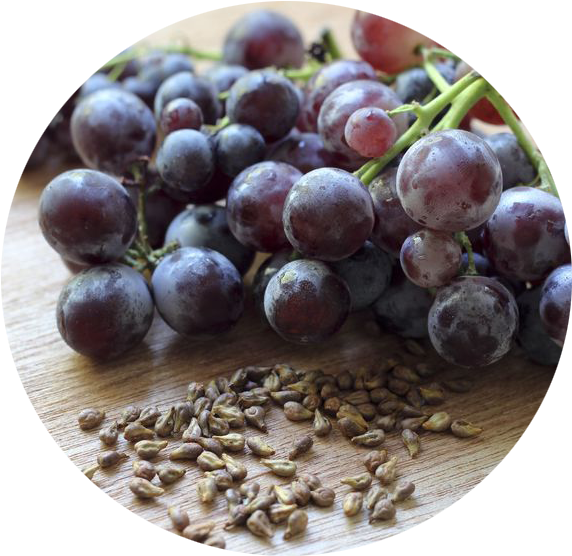 Grape Seed Oil- Organic 150ml - 葡萄 籽 萃取 物 (597x568), Png Download