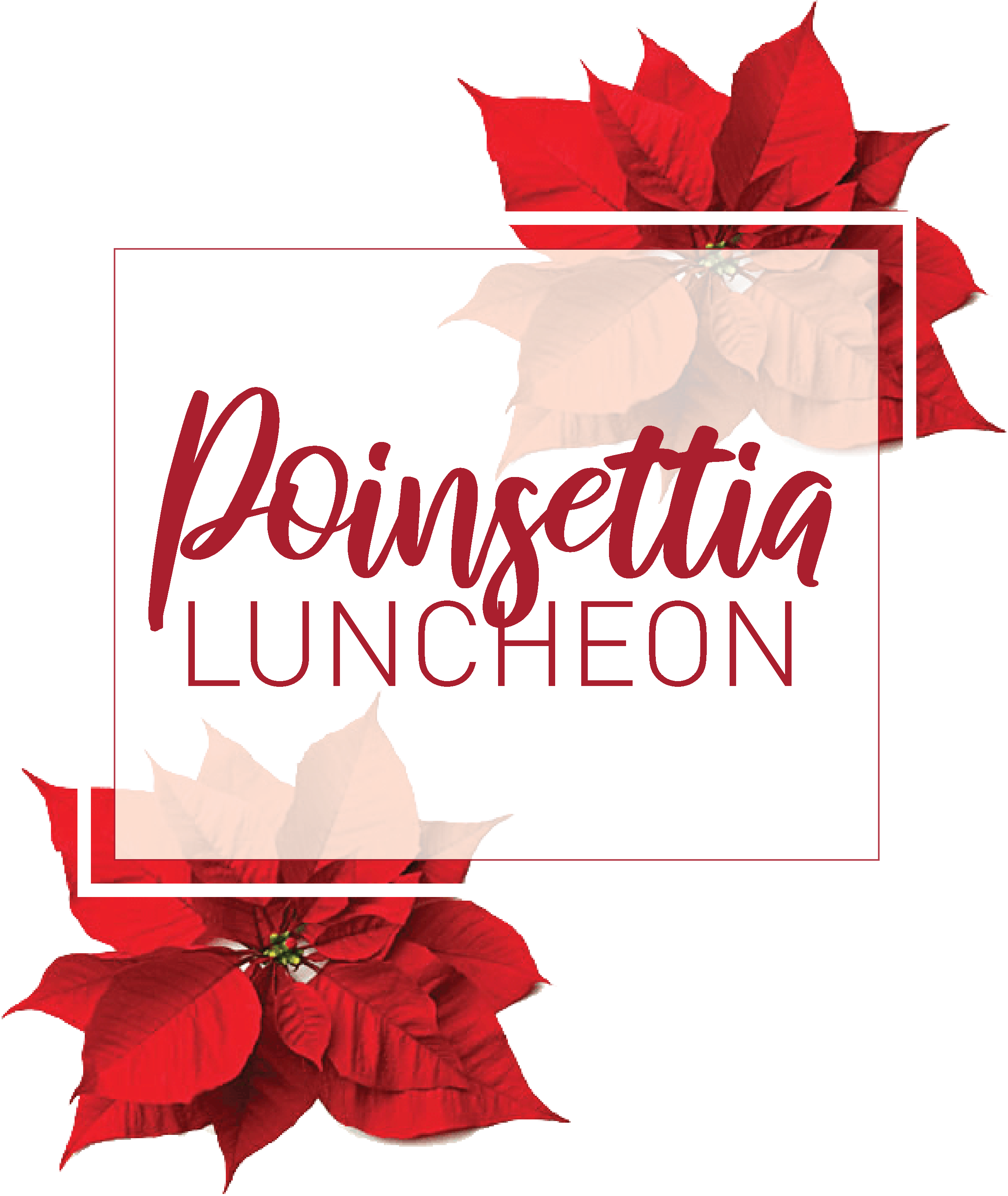 Poinsettia Front Page Website - Canadian Thanksgiving (2473x2936), Png Download