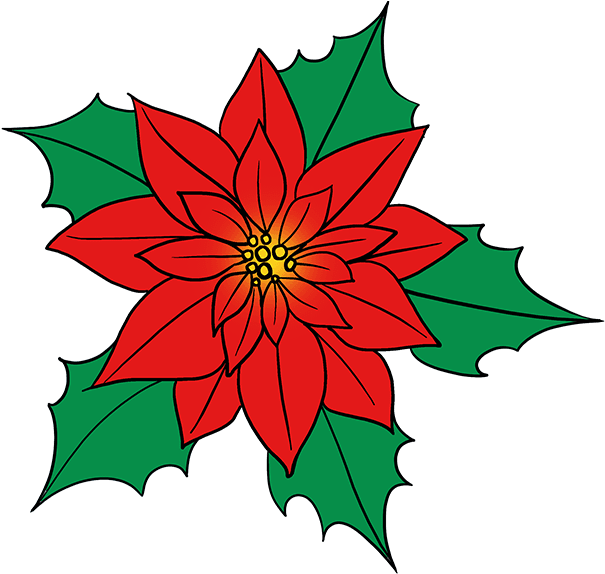 680 X 678 6 - Draw A Christmas Flower (680x678), Png Download