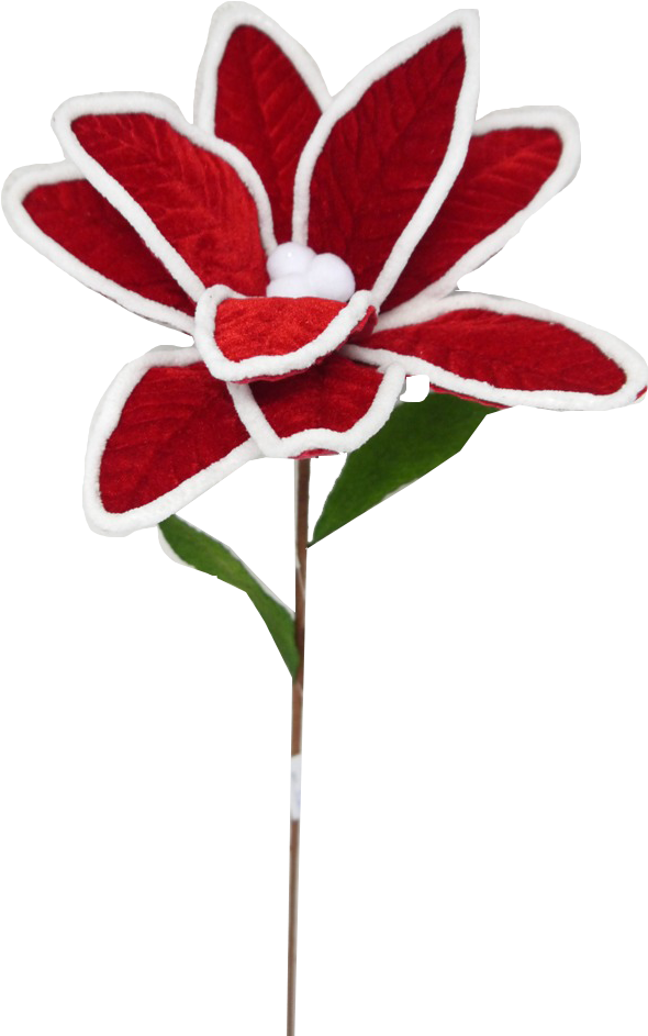 Felt Red Poinsettia With White Piping - Artificial Flower (615x951), Png Download