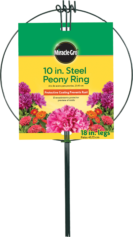 Red Clover (449x800), Png Download