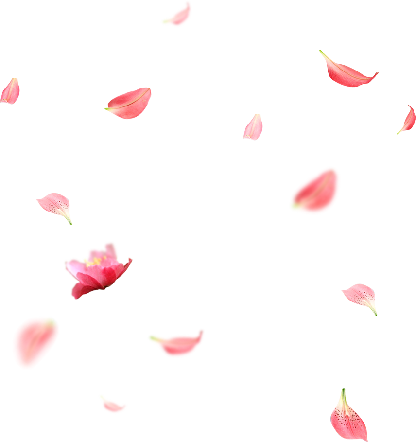 Svg Download Petal Creative Falling Transprent Png - 花瓣 素材 (856x909), Png Download