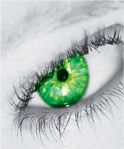 Overview - Wrapping Paper (1920x500), Png Download