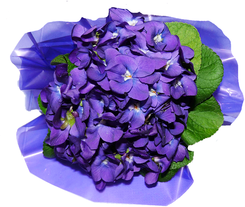 Flower Petals Png Image - Artificial Flower (835x720), Png Download