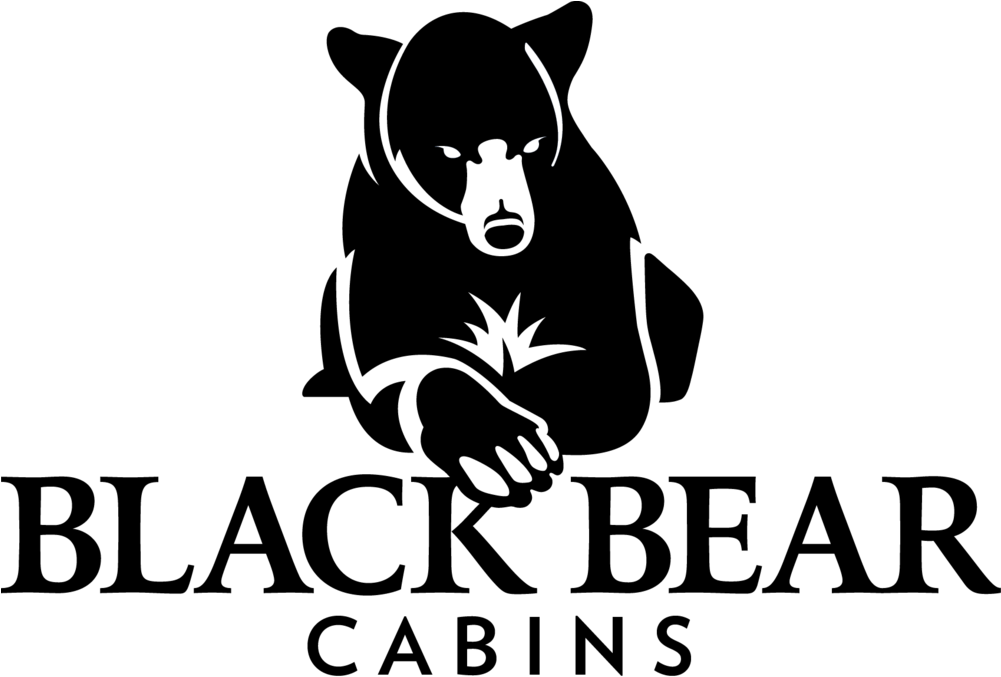 Black Bear Png (1000x699), Png Download
