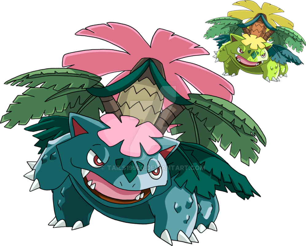Mega Venusaur Png - Cartoon (997x802), Png Download