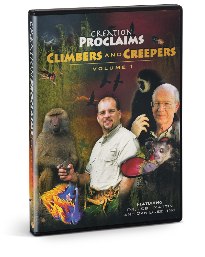 Dvd (1000x1000), Png Download