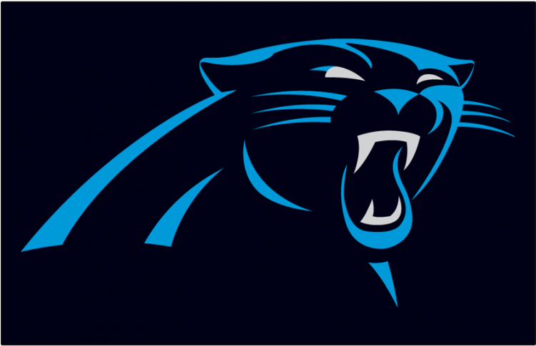 Carolina Panthers Iron On Stickers And Peel-off Decals - Carolina Panthers 2018 2019 (750x930), Png Download