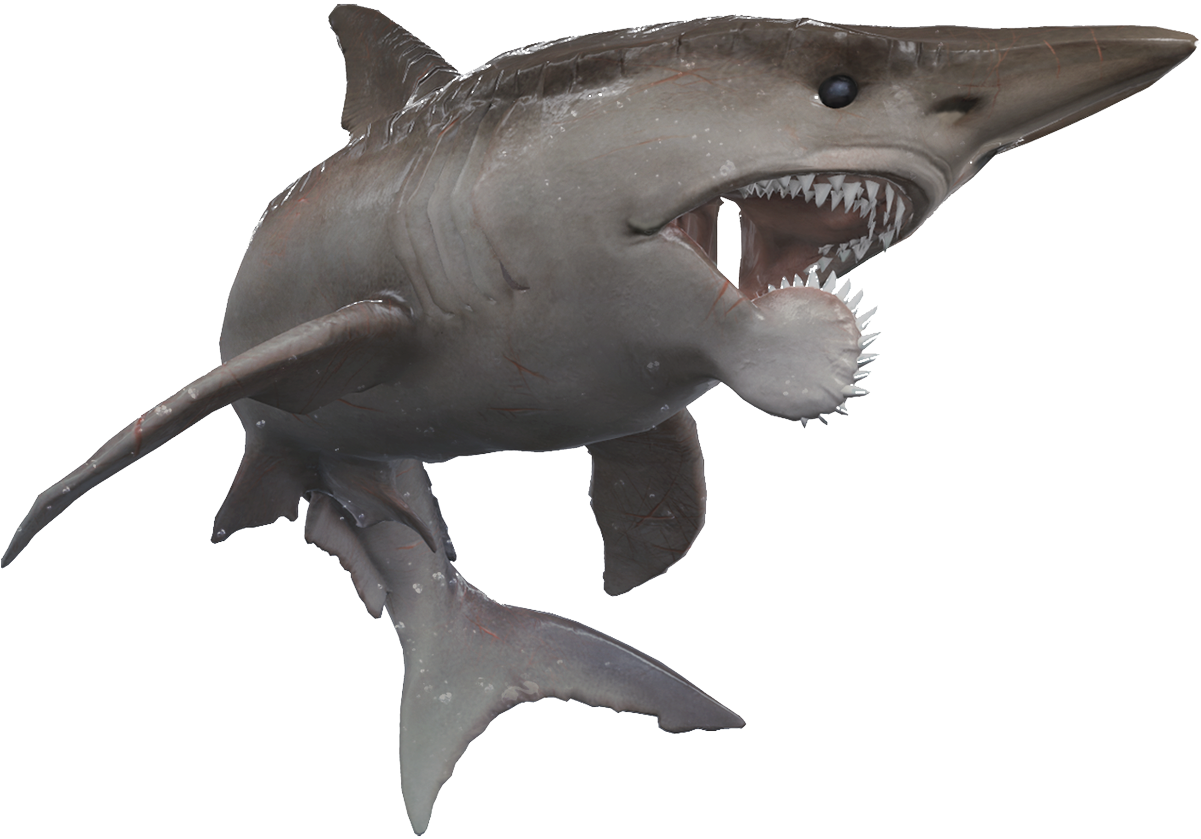 Depth Team On Twitter - Helicoprion Depth (1200x1200), Png Download