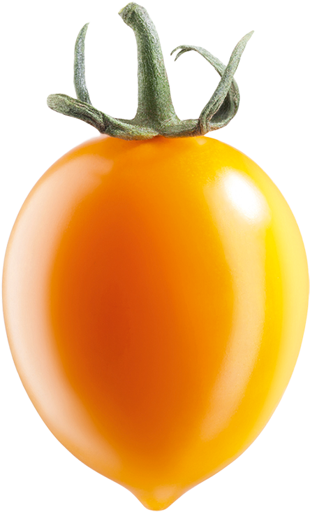 In Juice - Pomodoro Piennolo Giallo (800x800), Png Download