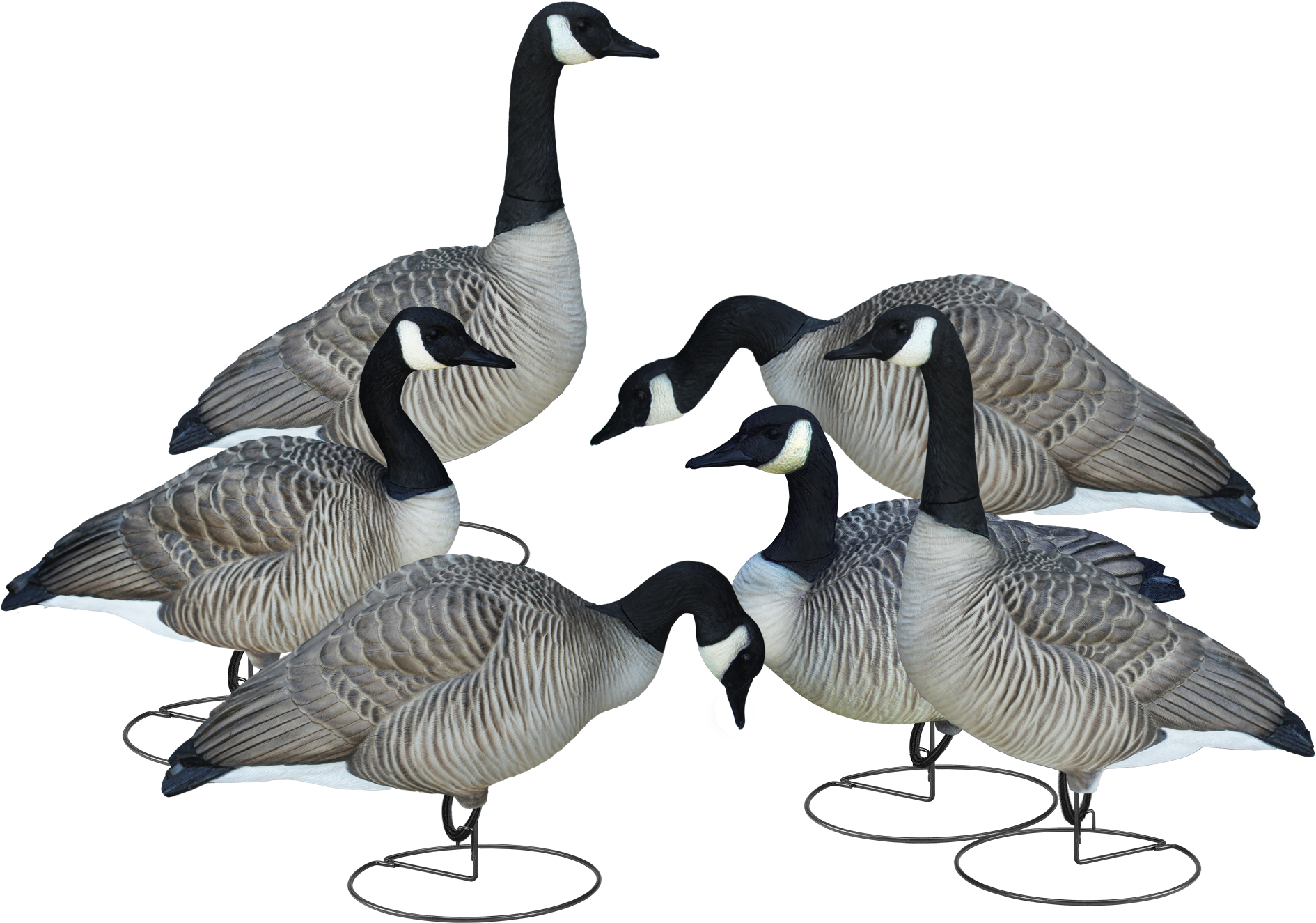 Livecraft™ Full Body Geese - Canada Goose (1905x1345), Png Download