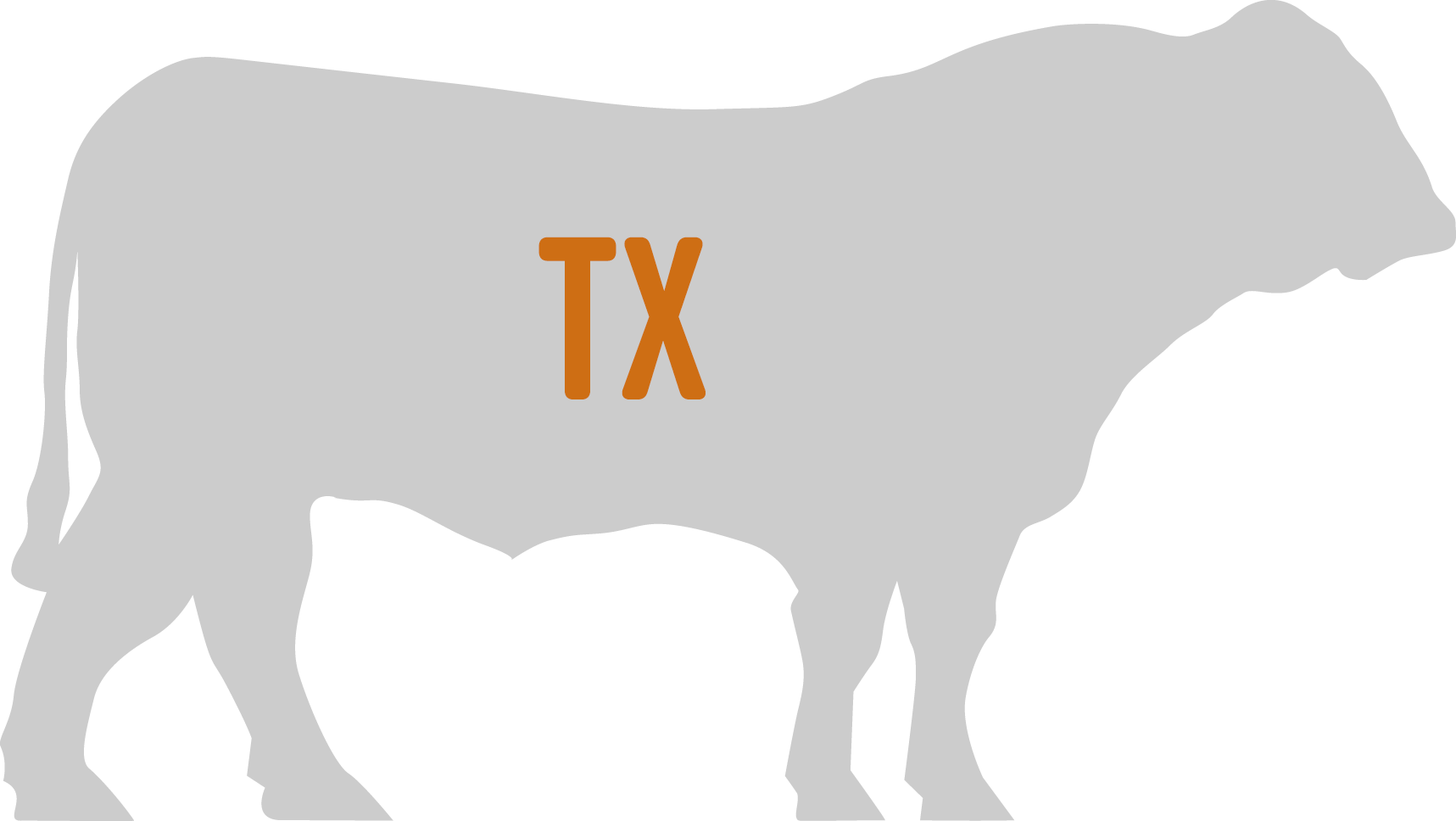What's The Best Bull For Your Herd's Goals Click Here - Bison (1717x968), Png Download