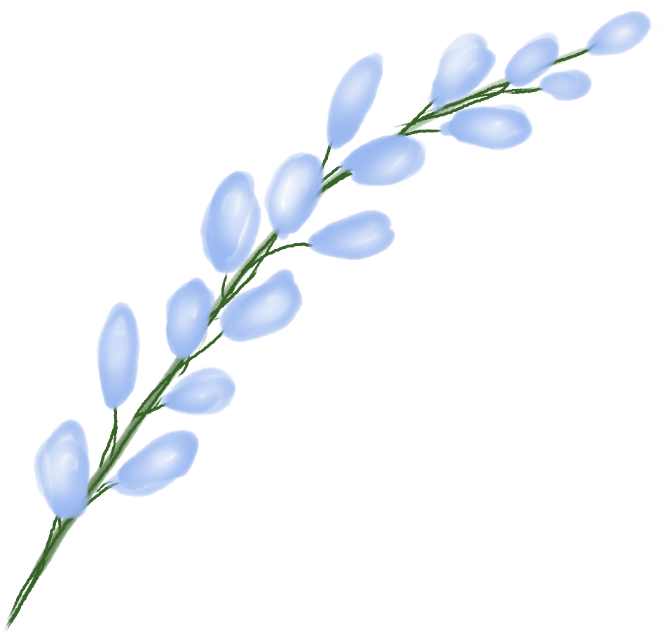 Flower Sticker - Lobelia (1024x1024), Png Download