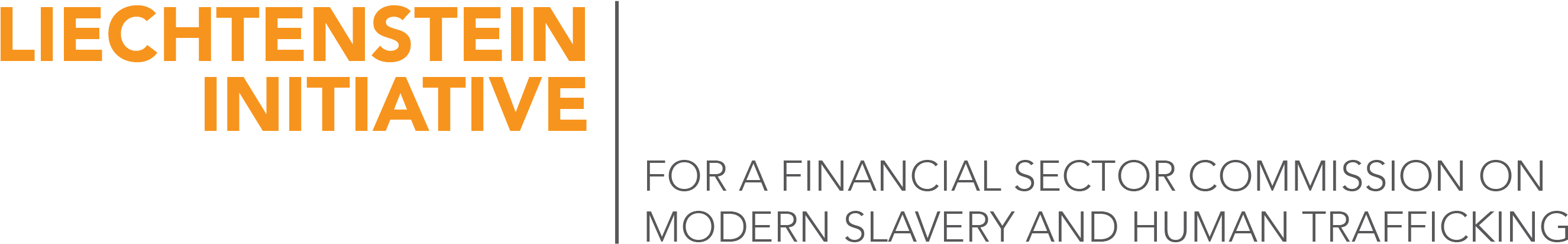 The Financial Sector Commission On Modern Slavery And - Orange (2992x712), Png Download